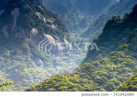 世界自然遺產屋久島春季的花崗岩山坡。 世界自然遺產屋久島春季的花崗岩山坡。 141042060