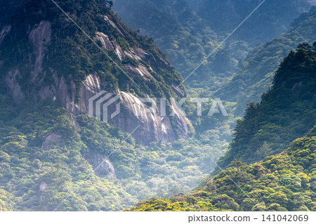 Granite mountain slopes in spring on Yakushima, a World Natural Heritage site. Granite mountain slopes in spring on Yakushima, a World Natural Heritage site. 141042069