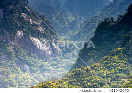 Granite mountain slopes in spring on Yakushima, a World Natural Heritage site. Granite mountain slopes in spring on Yakushima, a World Natural Heritage site. 141042070
