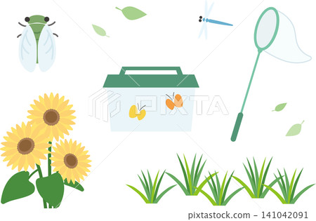 Summer vacation insect collecting items and sunflower illustration set Summer vacation insect collecting items and sunflower illustration set 141042091
