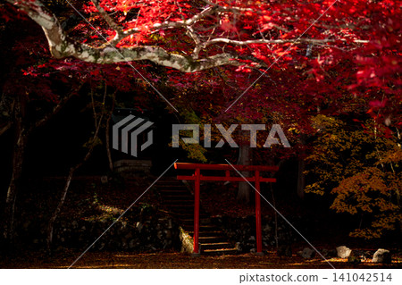 I photographed the spectacular red and yellow autumn leaves at Hokyozan Dokoji Temple in Tamba-Sasayama City, Hyogo Prefecture. 141042514