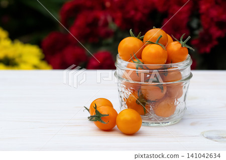 Jar of orange cherry tomatoes in the summer blooming garden. Jar of orange cherry tomatoes in the summer blooming garden. 141042634