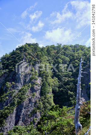 A refreshing summer getaway hike at the end of summer: the trekking courses and landscape of dead trees in Odaigahara. A refreshing summer getaway hike at the end of summer: the trekking courses and landscape of dead trees in Odaigahara. 141042798