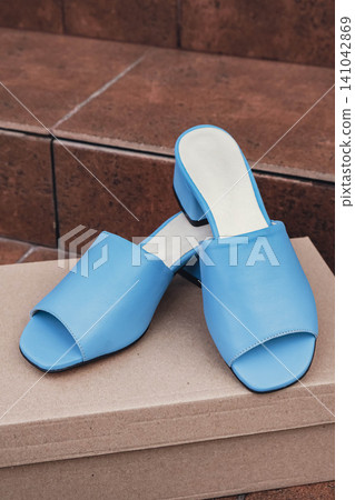 Elegant blue leather womens shoes blank product for branding displayed recyclable packaging. New casual female sneakers no-brand footwear e-commerce. No logo product unbranded fashion Elegant blue leather womens shoes blank product for branding displayed recyclable packaging. New casual female sneakers no-brand footwear e-commerce. No logo product unbranded fashion 141042869