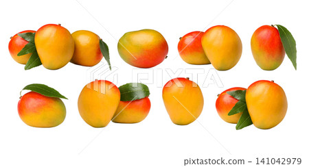 Set, Fresh mangoes arranged artistically highlight natural beauty, PNG 141042979