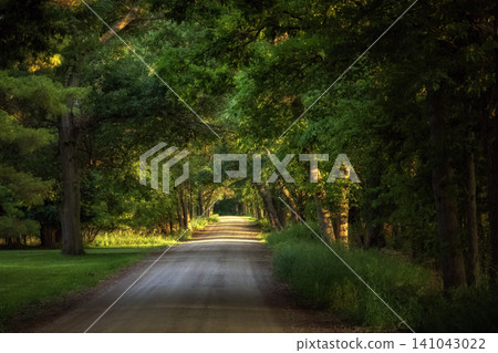 Countryside road with trees along the side road Countryside road with trees along the side road 141043022