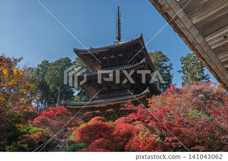 我拍攝了滋賀縣江南市江南三山長壽寺院內秋葉變色的美景。 141043062