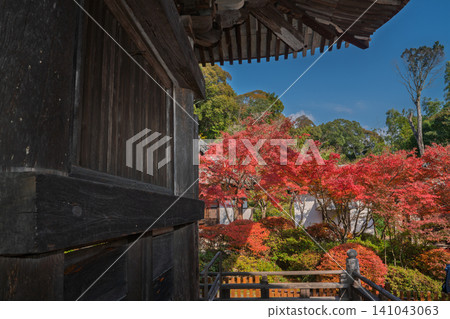 I photographed the autumn leaves that colored the grounds of Konan Sanzan Choju-ji Temple in Konan City, Shiga Prefecture. I photographed the autumn leaves that colored the grounds of Konan Sanzan Choju-ji Temple in Konan City, Shiga Prefecture. 141043063