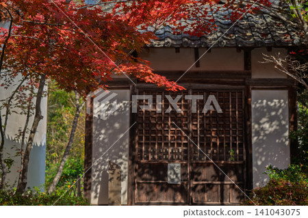 我拍攝了滋賀縣江南市江南三山長壽寺院內秋葉變色的美景。 我拍攝了滋賀縣江南市江南三山長壽寺院內秋葉變色的美景。 141043075