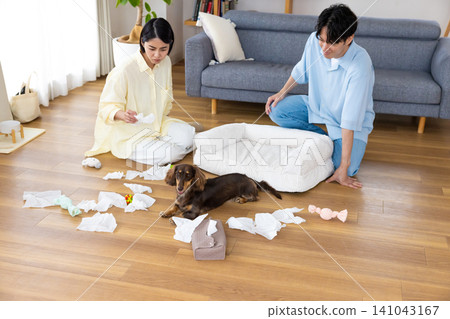 狗狗行為問題:狗狗玩弄紙巾。 狗狗行為問題:狗狗玩弄紙巾。 141043167