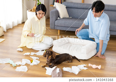 狗狗行為問題:狗狗玩弄紙巾。 狗狗行為問題:狗狗玩弄紙巾。 141043168