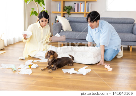 Dog behavioral problems: Dogs that play with tissue paper. Dog behavioral problems: Dogs that play with tissue paper. 141043169