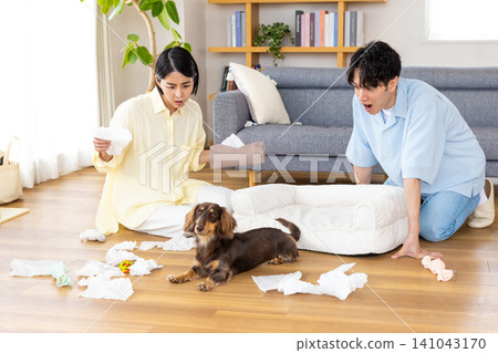 狗狗行為問題:狗狗玩弄紙巾。 狗狗行為問題:狗狗玩弄紙巾。 141043170