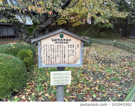 這是一棵染井吉野櫻花樹,是弘前市著名的歷史名樹,位於青森縣弘前市弘前公園內,旁邊是它的標誌。 這是一棵染井吉野櫻花樹,是弘前市著名的歷史名樹,位於青森縣弘前市弘前公園內,旁邊是它的標誌。 141043362