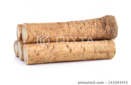 Fresh Burdock Root for Traditional Chinese Medicine Fresh Burdock Root for Traditional Chinese Medicine 141043455