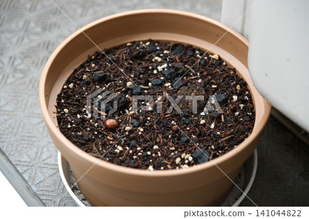 Gardening soil and seeds in a flowerpot on the balcony Gardening soil and seeds in a flowerpot on the balcony 141044822