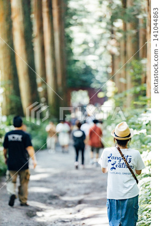 [Togakushi, Nagano City] Togakushi Shrine Inner Sanctuary: The scenery of the Zuishinmon gate and the cedar avenue, and tourists. 141044863