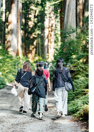 [Togakushi, Nagano City] Togakushi Shrine Inner Sanctuary: Scenery of the cedar-lined approach and tourists 141044873