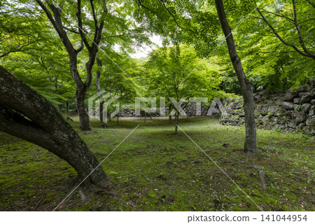 初夏時節,小諸城的景色:長野縣小諸市海光園 初夏時節,小諸城的景色:長野縣小諸市海光園 141044954