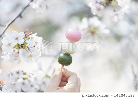 Three-colored dango (with a cherry blossom background) Three-colored dango (with a cherry blossom background) 141045182