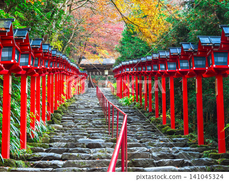 秋季京都紀文神社三多石階 秋季京都紀文神社三多石階 141045324