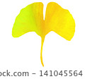 Ginkgo leaves in various colors against a white background 141045564