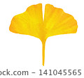 Yellow ginkgo biloba leaves 141045565