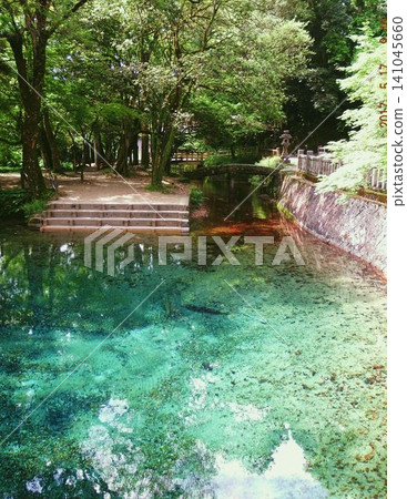 Benten Pond, clear and emerald green Benten Pond, clear and emerald green 141045660