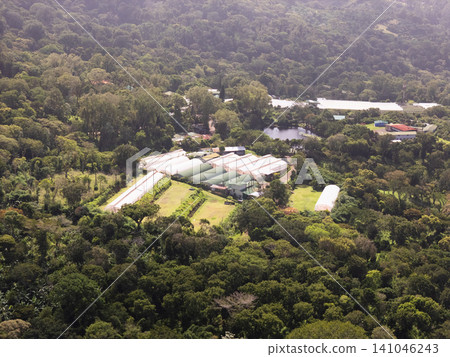 View of greenhouses in a valley surrounded by forest in daylight View of greenhouses in a valley surrounded by forest in daylight 141046243