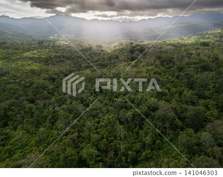 View of green forest under cloudy sky in a remote location View of green forest under cloudy sky in a remote location 141046303