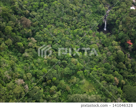 View of dense forest with a waterfall in a tropical area in daytime View of dense forest with a waterfall in a tropical area in daytime 141046328