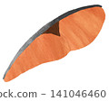 Illustration of salmon fillet 141046460