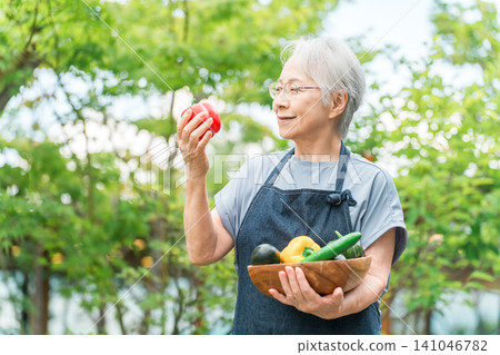 Senior female farmers with summer vegetables (agriculture, organic farming, crops) Senior female farmers with summer vegetables (agriculture, organic farming, crops) 141046782