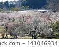 Mito Plum Blossom Festival 2026-03-12 #142 141046934