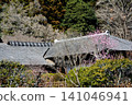 Mito Plum Blossom Festival 2026-03-12 #149 141046941