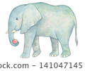 Elephant holding an apple 141047145