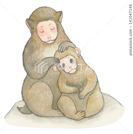 Parent and child of monkey Parent and child of monkey 141047148