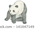 Sitting panda 141047149