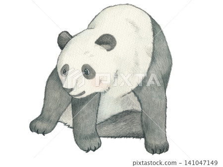 坐熊貓 坐熊貓 141047149