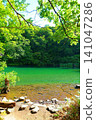 Dokko Swamp, Zao, Fresh Greenery 141047286