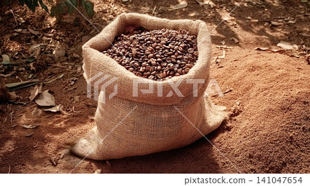 Roasted coffee beans filling a burlap sack on coffee plantation earth Roasted coffee beans filling a burlap sack on coffee plantation earth 141047654