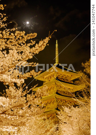 The illuminated five-story pagoda of Toji Temple in Kyoto, and the moon floating above the cherry blossoms in full bloom at night. The illuminated five-story pagoda of Toji Temple in Kyoto, and the moon floating above the cherry blossoms in full bloom at night. 141047744