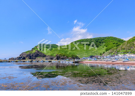 大山府漁港,位於北海道東部釧路市的一個小型漁港 大山府漁港,位於北海道東部釧路市的一個小型漁港 141047899