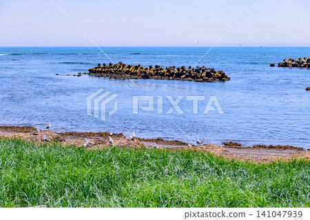 Oshamapu Fishing Port, a small fishing port in Kushiro, eastern Hokkaido Oshamapu Fishing Port, a small fishing port in Kushiro, eastern Hokkaido 141047939