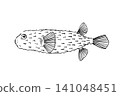 A brush-pen line drawing illustration of a pufferfish (Ishigaki pufferfish) on a white background. 141048451
