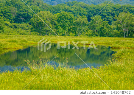 A water glass A water glass 141048762