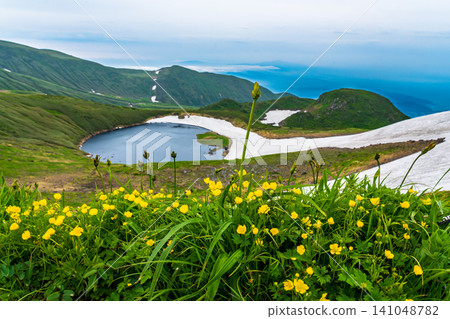 初夏時節,攀登鳥海山,欣賞鳥海湖附近的高山植物。 初夏時節,攀登鳥海山,欣賞鳥海湖附近的高山植物。 141048782
