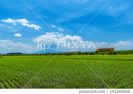 Rice paddies of the Tsugaru Plain. The Tsugaru Railway speeds along, seemingly enjoying the view of Mount Iwaki. 141048808