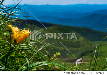 The hiking trails of Mount Akita-Komagatake are adorned with alpine plants in early summer. The hiking trails of Mount Akita-Komagatake are adorned with alpine plants in early summer. 141048921