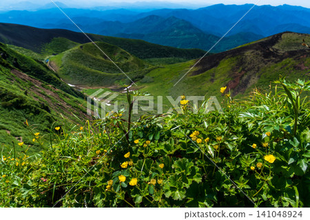 The hiking trails of Mount Akita-Komagatake are adorned with alpine plants in early summer. The hiking trails of Mount Akita-Komagatake are adorned with alpine plants in early summer. 141048924